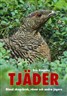 Tjäder